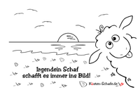 240514-0402 2Irgendein Schaf schafft es immer ins Bild Sonne Front